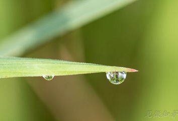 956621