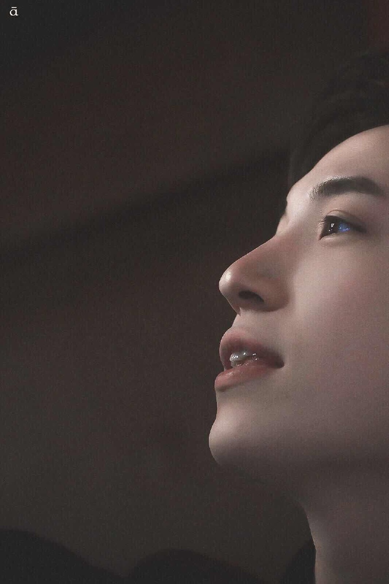 万物不及郭麒麟 - 图虫