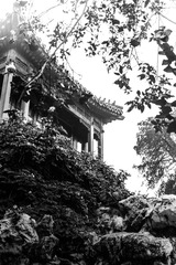 IMG_0767-2