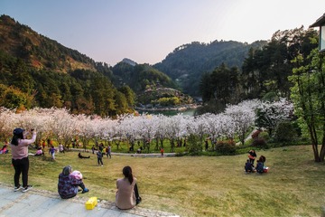 IMG_2038-3