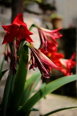IMG_20160515_074112