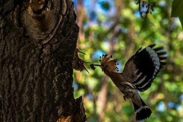 _DSC7328