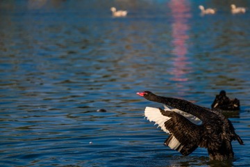 _DSC6994