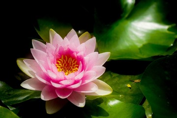 _DSC7634