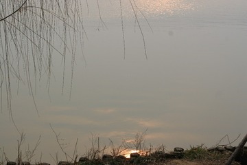 63AE5B26-51A7-4124-9A3D-1E64C3D6AE78/L0/001