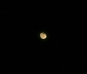 D8B603A3-3C46-4E39-B845-029AB1E1B6EC/L0/001