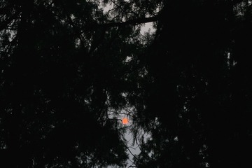 B8B5EBF6-7EF4-48F0-829F-EE240B10FB28/L0/001