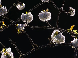 100_2652-5