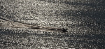 P8050627-1