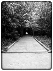 SAM_0009-01