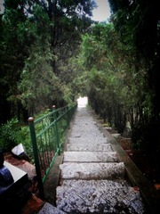 SAM_0089-02