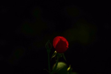 0128f2a13eb691deb15c596ecf9a96dc710be76eb0