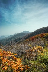 大鸿寨