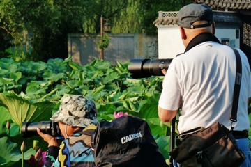 296032