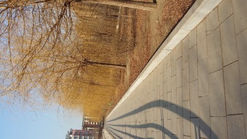 20160327_155956