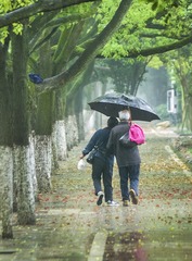 《一把雨伞》 5