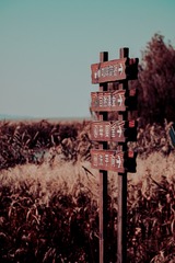 83E34A90-69B4-41F6-8C5B-95DA59E38BD5/L0/001