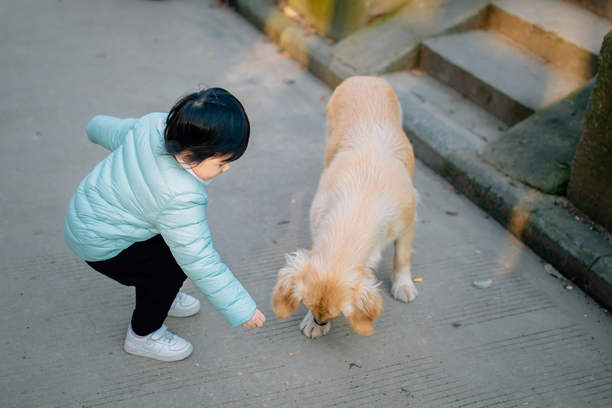 孩子与狗
