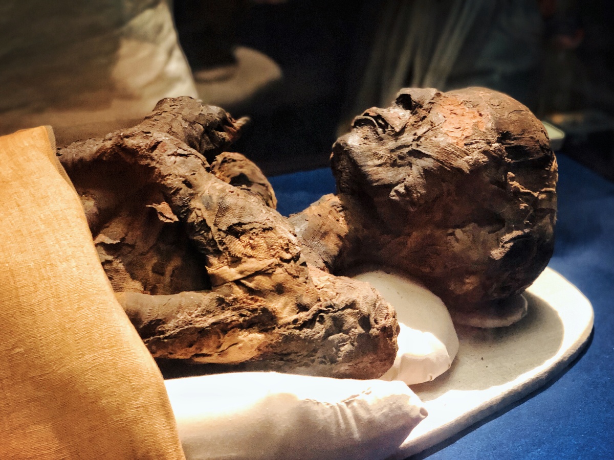 天津博物馆——法老的国度木乃伊