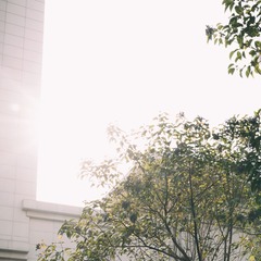 1171518