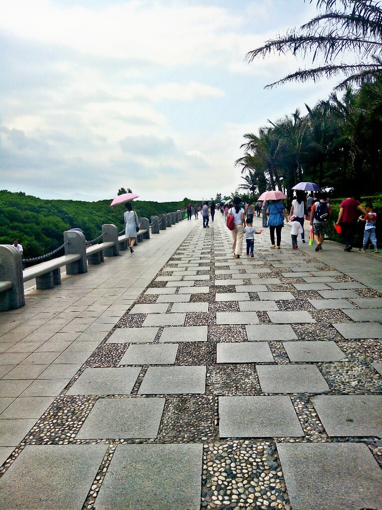 红树林之行
