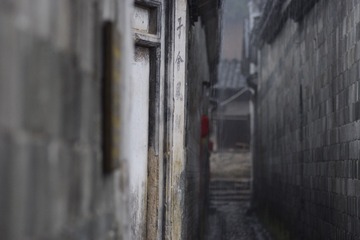 _DSC0477