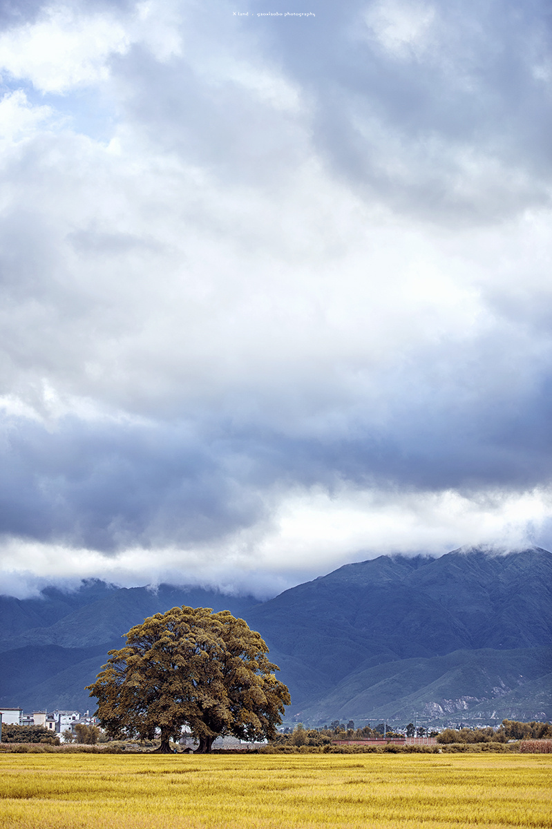 大理人文风景篇