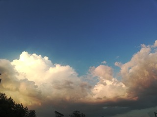 1654669