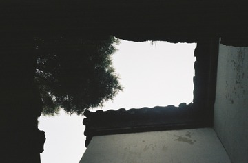 000037