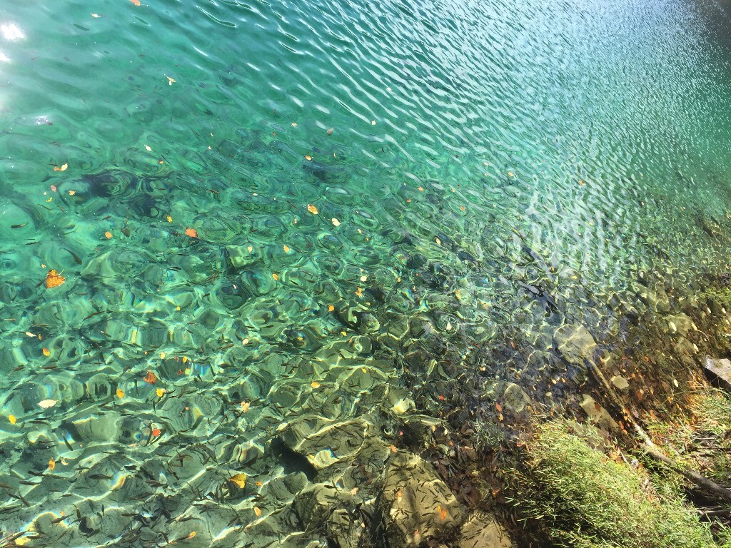 水清澈地真想去小泯一口,对的,我现在还是这么想的。
