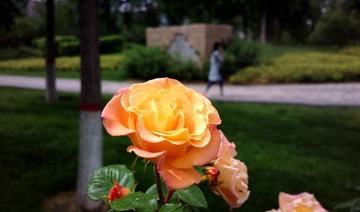 2016-05-02-2525