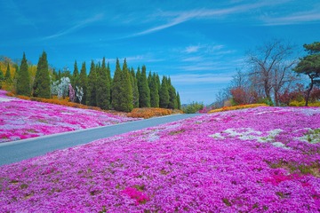 8A56AFDC-54E5-46F9-834C-8FBD4B06555B/L0/001