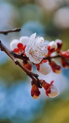 9F84D386-7F65-47D7-AD88-37419C4FD7C3/L0/001