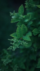 D06C464E-BB1B-419F-9B07-EB790E6552F6/L0/001