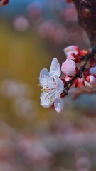 A847F93F-E05F-4578-8CFE-F708633DF8FD/L0/001