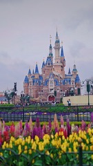 54719B36-7ED7-4537-8569-8C5872E13393/L0/001