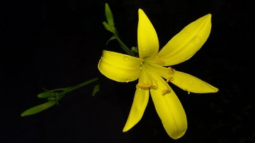 我20150721_193703