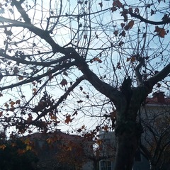 C360_2014-11-26-11-00-08-618
