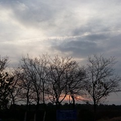 C360_2014-11-25-07-20-13-201