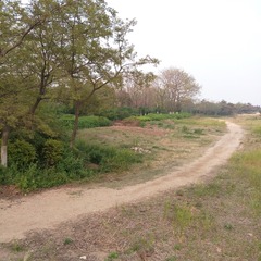 C360_2015-04-26-17-43-55-249