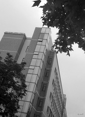 16-06-09-22-26-18-685_deco