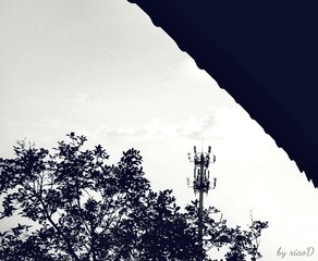 16-06-21-08-06-32-894_deco