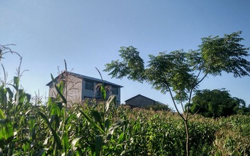 16-07-18-20-50-07-440_deco