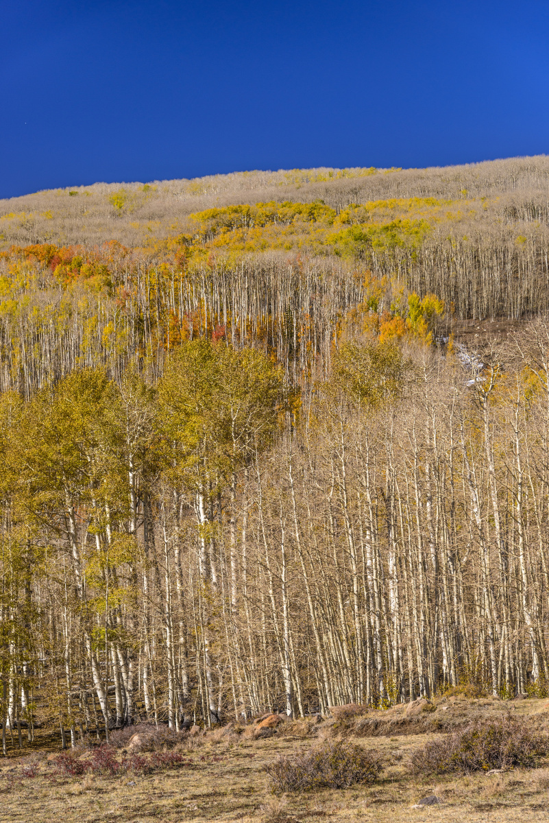 行到水穷处坐看云起时