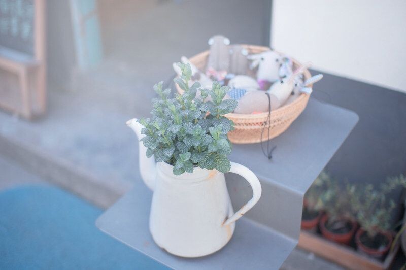 simple life<br />
