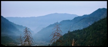 晨雾
