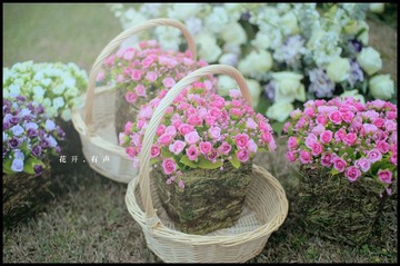 花开.有声