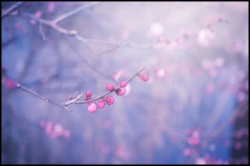 DSC_4078-Edit.jpg