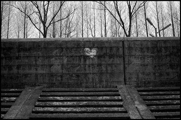 DSC_4041-Edit.jpg
