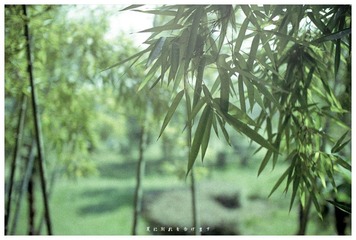 告别夏天